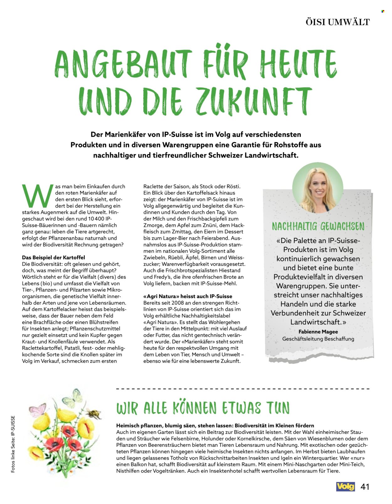 Catalogue Volg - 1.10.2026 - 31.10.2026. Page 41. Page 41