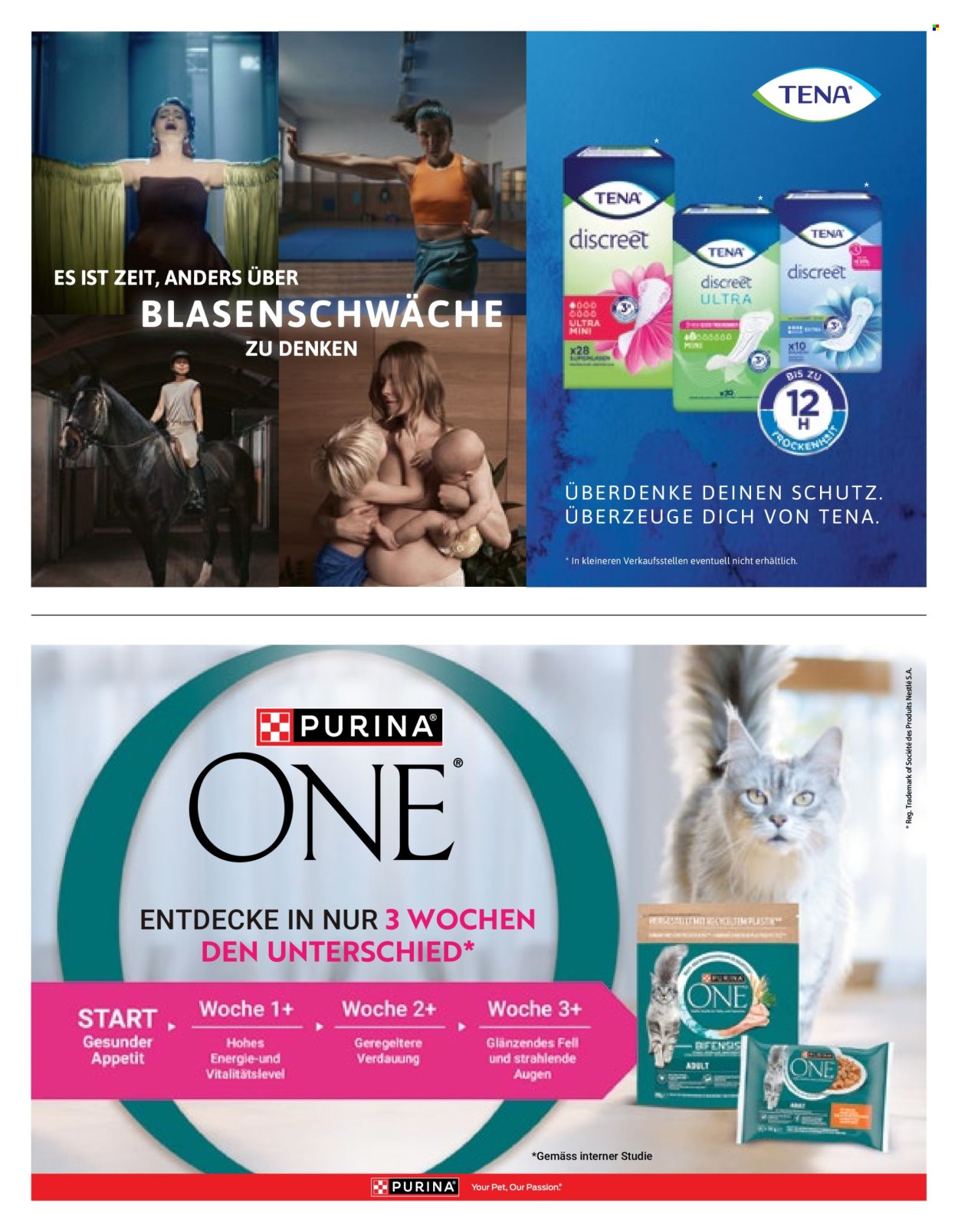 Catalogue Volg - 1.10.2026 - 31.10.2026. Page 60. Page 60