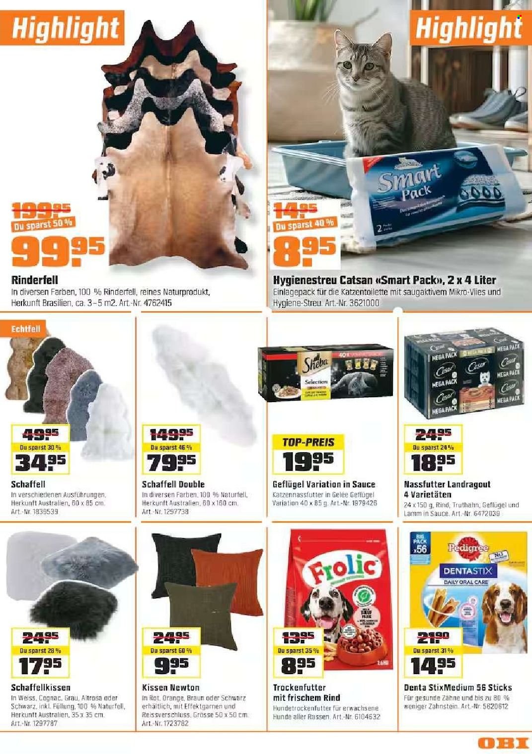 Catalogue OBI - 7.10.2026 - 1.11.2026. Page 13. Page 13