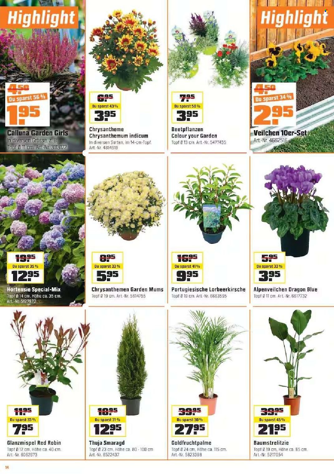 Catalogue OBI - 7.10.2026 - 1.11.2026. Page 14. Page 14
