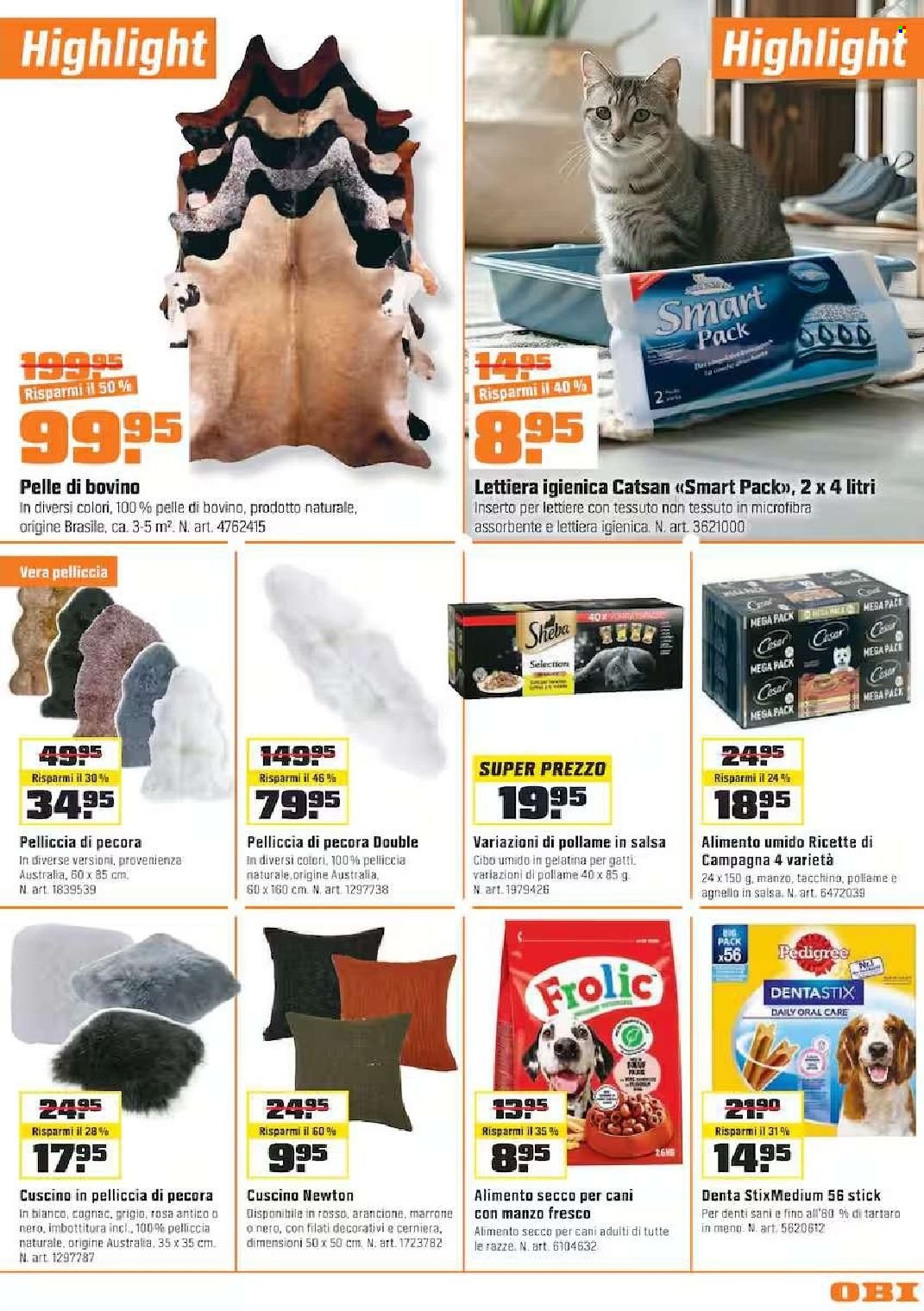 Catalogue OBI - 7.10.2026 - 1.11.2026. Page 13. Page 13