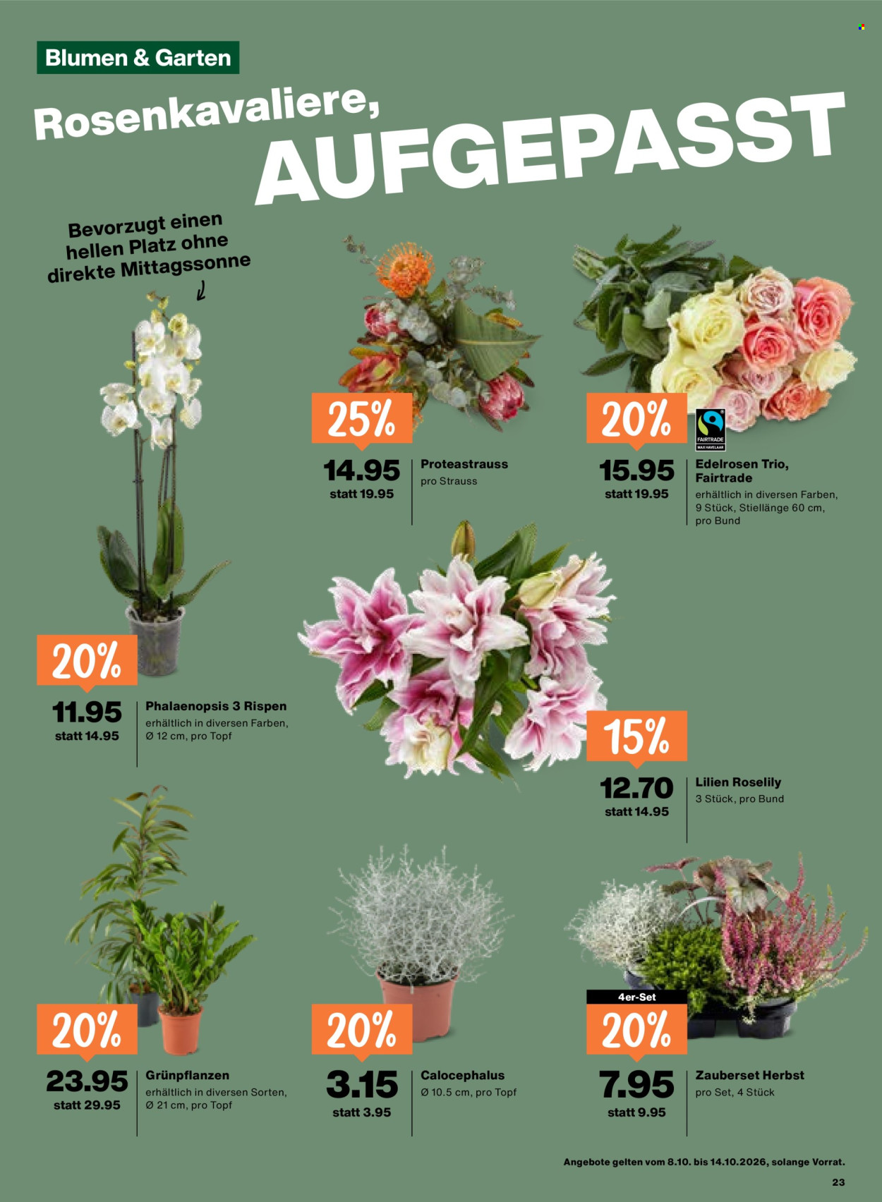Catalogue Migros - 8.10.2026 - 14.10.2026. Page 23. Page 23