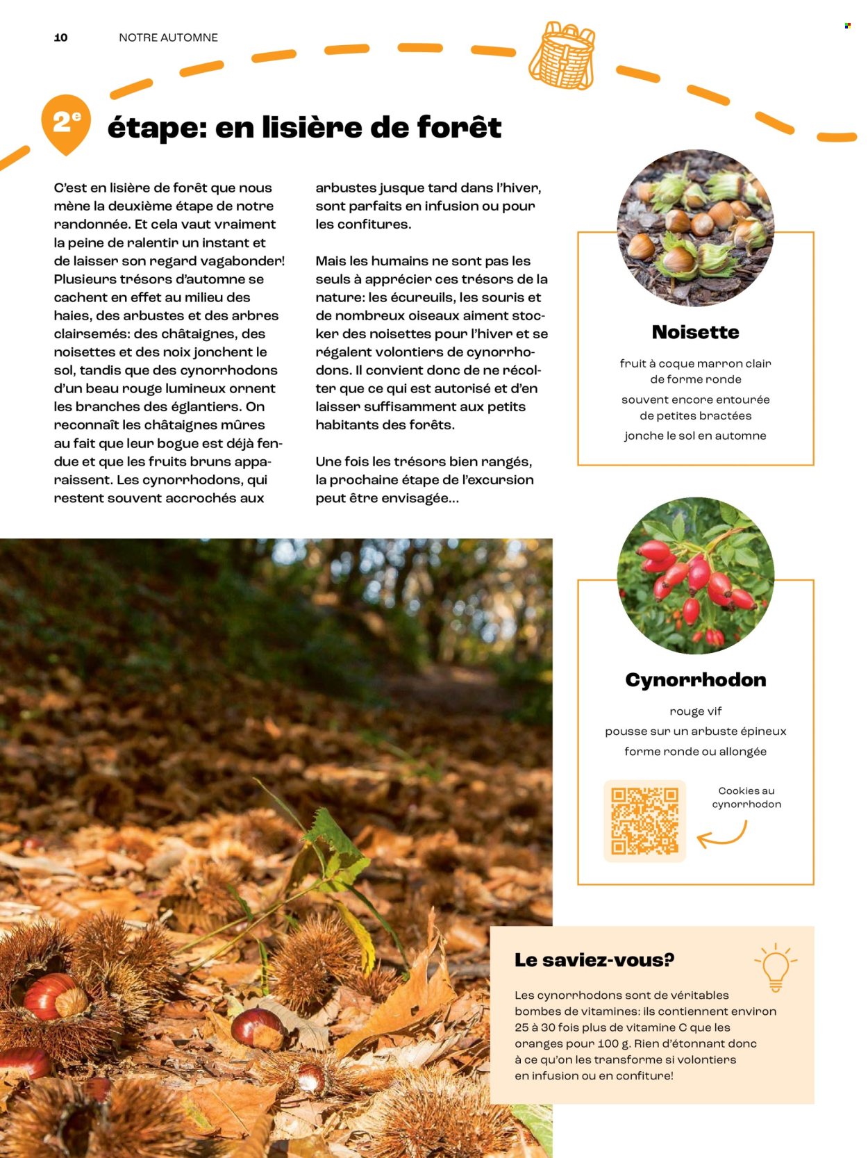Catalogue Coop. Page 10. Page 10