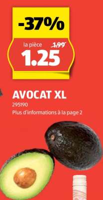 AVOCAT XL