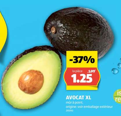 AVOCAT XL