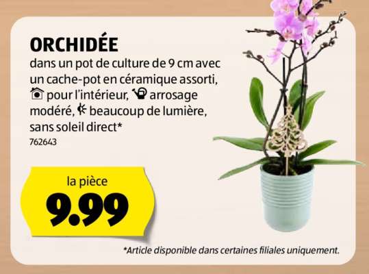 ORCHIDEE