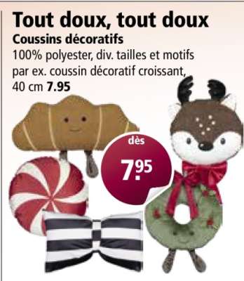 Coussins décoratifs