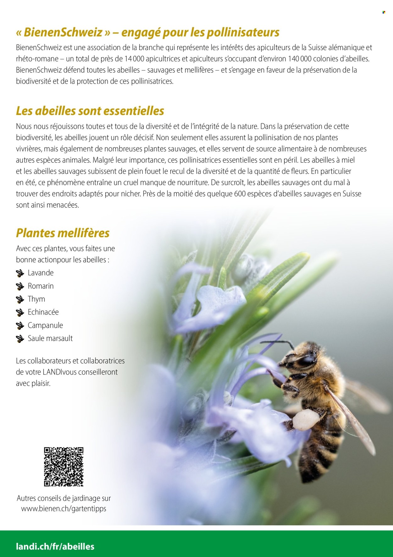 Catalogue Landi. Page 2. Page 2