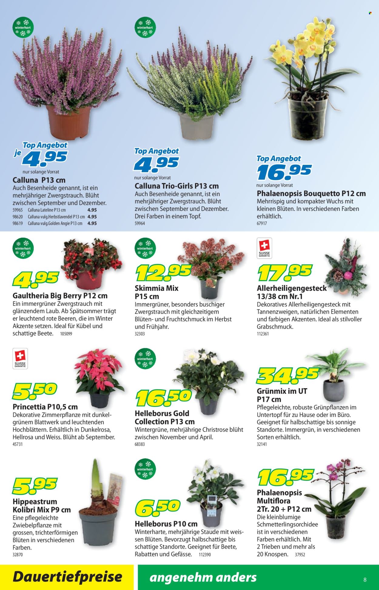 Catalogue Landi - 26.10.2026 - 8.11.2026. Page 12. Page 12