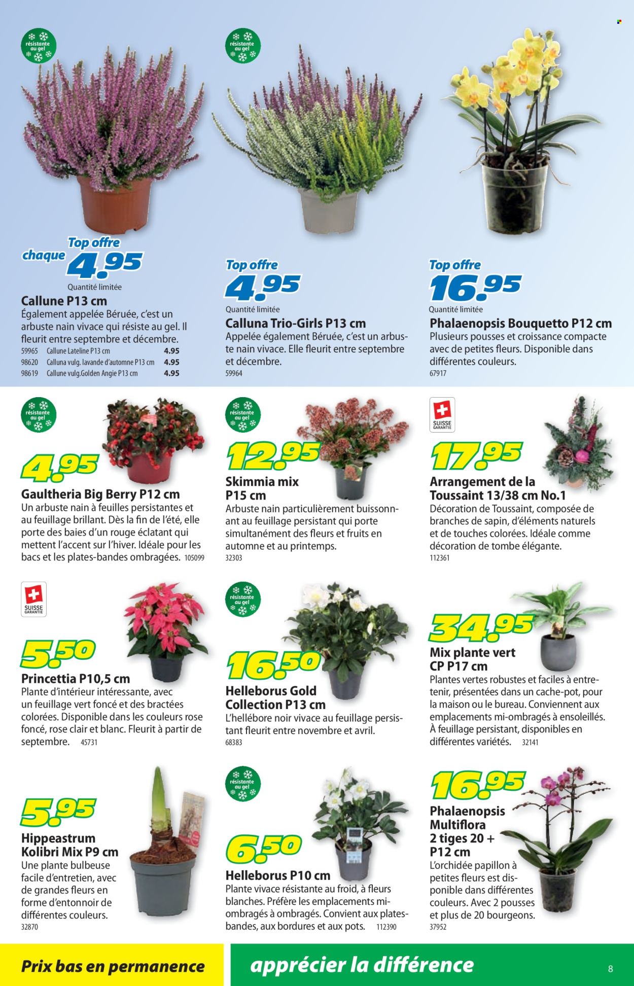 Catalogue Landi - 26.10.2026 - 8.11.2026. Page 12. Page 12
