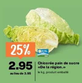 Chicorée pain de sucre «De la région.»